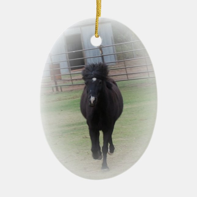 Black Welsh Pony Ornament (Front)