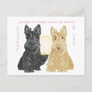 Black & Wheaten Goodnight Scotties Postcard