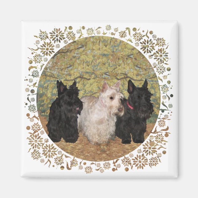 Black & Wheaten Scotties in the Fall Magnet (Front)