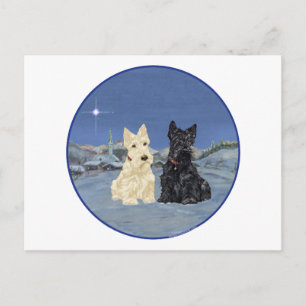 Black & Wheaten Scottish Terriers Winter Postcard