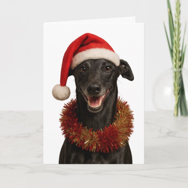 Black whippet in a Santa hat Christmas card (Front)