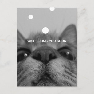 Black&White 17yro kitty  Blank Postcard 
