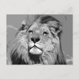 Black & White African Lion Postcard