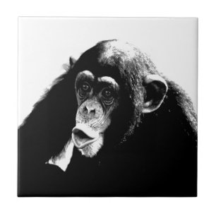 Black & White Amazing Chimpanzee Pop Art Tile