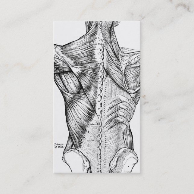 Black & White Anatomy Art Back Muscles QR Code V2 Business Card (Front)