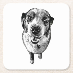Black & White Aussie Portrait – Artistic Square Paper Coaster