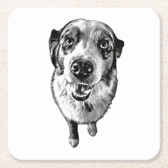 Black & White Aussie Portrait – Artistic Square Paper Coaster (Front)