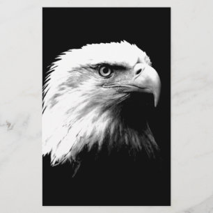 Black & White Bald Eagle