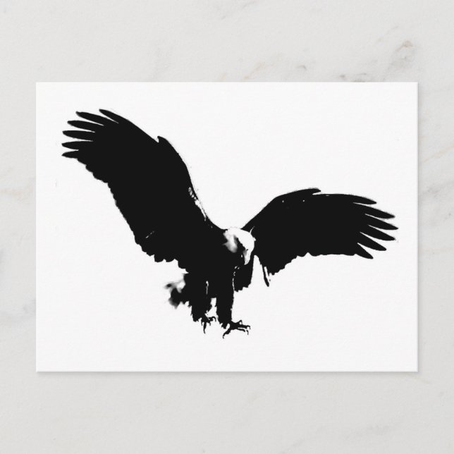 Black & White Bald Eagle Silhouette Postcard (Front)