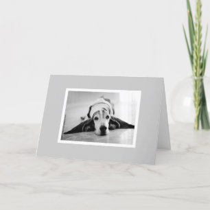 Black & White Basset Hound Card