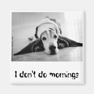 Black & White Basset Hound Magnet