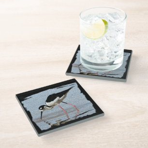Black White Beach Animal Photo Wading Bird Glass Coaster