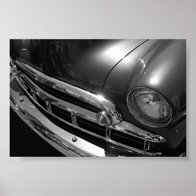 Black & White Beauty Poster (Front)