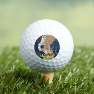 Black & white Bernedoodle dog in yellow golf hat. Balls