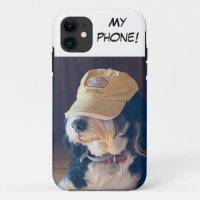 Black & White Bernedoodle w/ yellow hat "My phone"