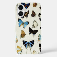 BLACK WHITE BLUE  BUTTERFLIES Beauty Nature Lover