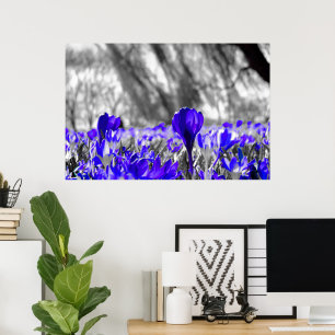 Black White Blue Flower Monochrome Poster