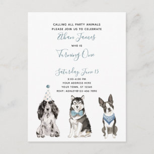 Black White Blue Script Boy's 1st Birthday Party Invitation Postcard