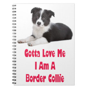 Black & White Border Collie Puppy Dog Journal