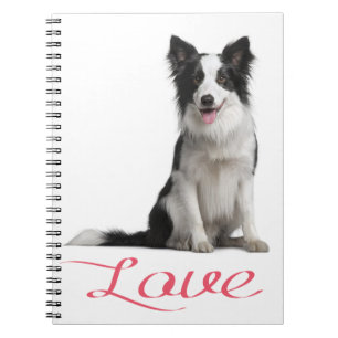 Black & White Border Collie Puppy Dog Journal