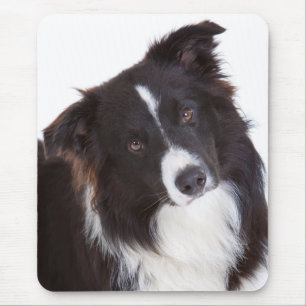 Black & White Border Collie Puppy Dog Mousepad