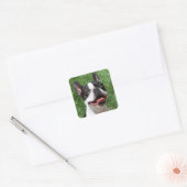 Black & White Boston Terrier Puppy Dog Sticker (Envelope)