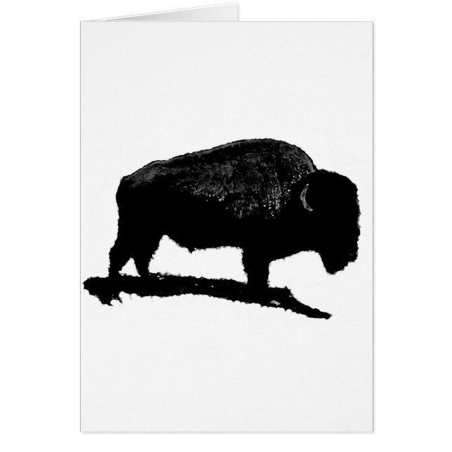 Black & White Buffalo (Front)