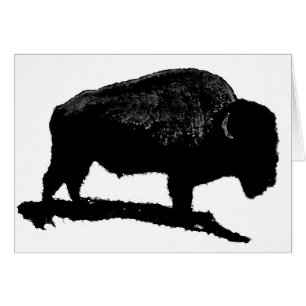 Black & White Buffalo