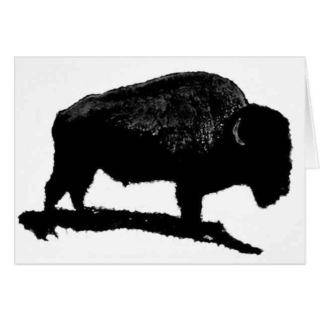 Black & White Buffalo (Front Horizontal)