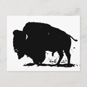 Black & White Buffalo Silhouette Postcard