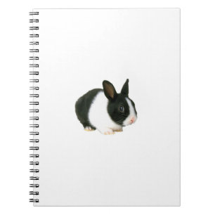 Black & White Bunny Rabbit Notebook