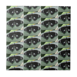 Black & White Butterfly Ceramic Tile