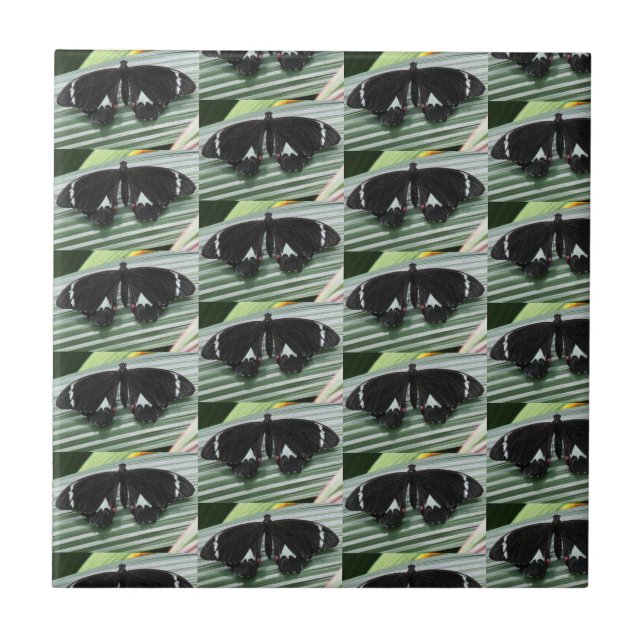 Black & White Butterfly Ceramic Tile (Front)