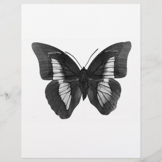 Black & White Butterfly Flyer (Front)
