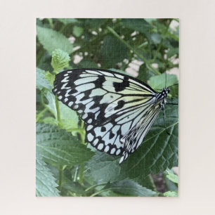 Black White Butterfly Jigsaw Puzzle
