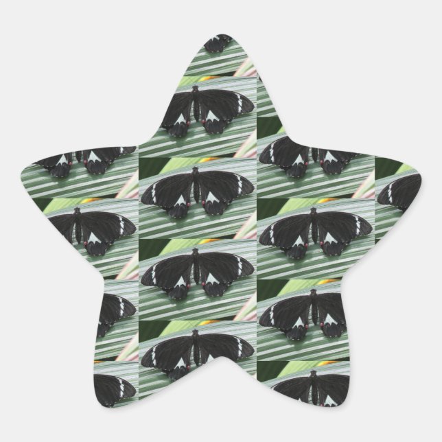 Black & White Butterfly  Star Sticker (Front)