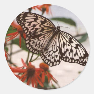 BLACK & WHITE BUTTERFLY WITH ORANGE FLOWERS CLASSIC ROUND STICKER