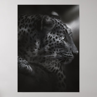 Black&white canva poster