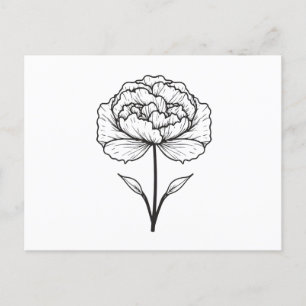 Black White Carnation Line Art Postcard