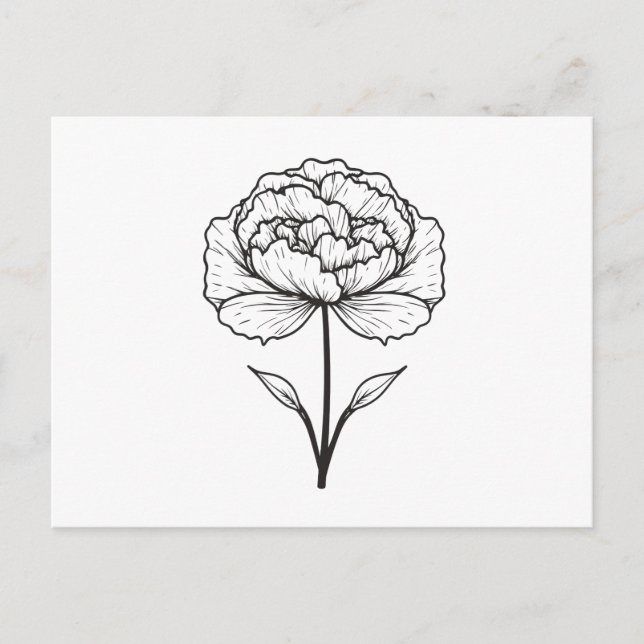 Black White Carnation Line Art Postcard (Front)