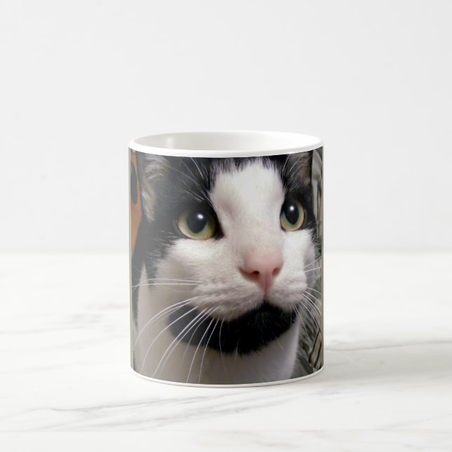 Black & White Cat Coffee Cup (Center)