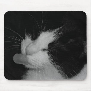 Black & White Cat Mouse Mat