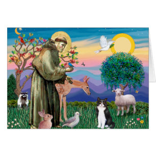 Black & White Cat - Saint Francis