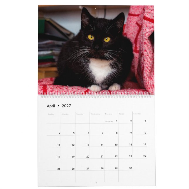 Black & White Cats & Kittens  Kitty Cat  2021 Calendar (Apr 2027)