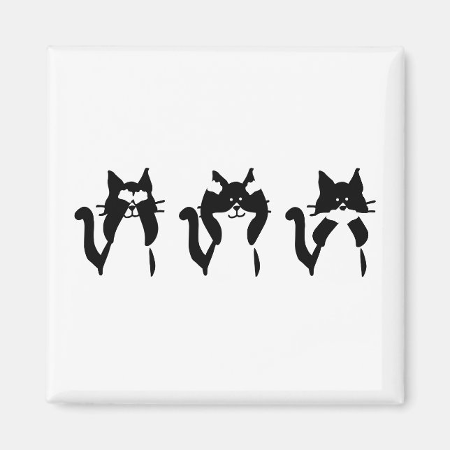 Black White Cats | Three Wise Kitties Magnet (Front)