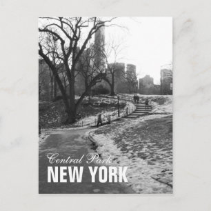 Black White Central Park New York Postcard