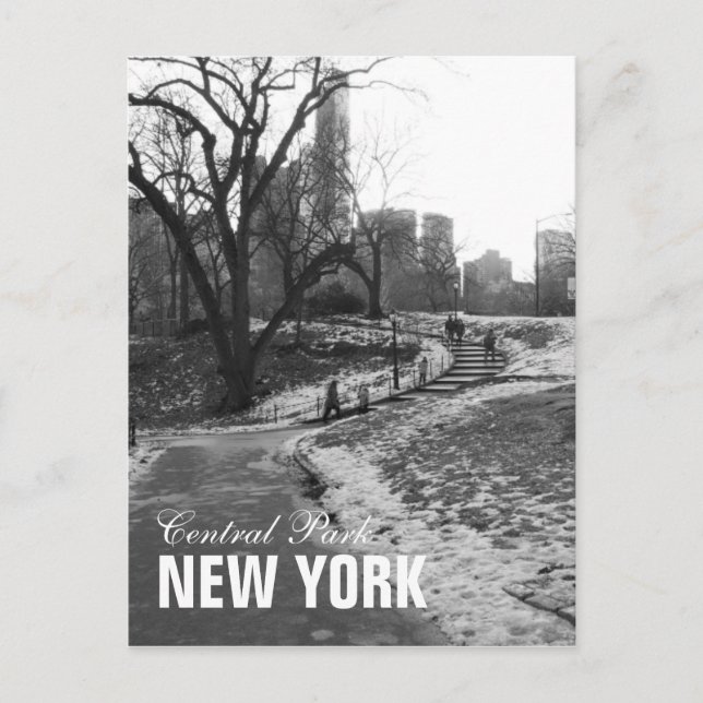 Black White Central Park New York Postcard (Front)