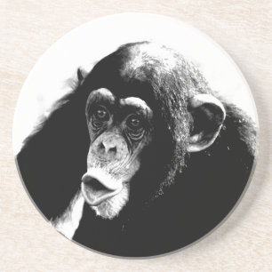 Black White Chimpanzee Coaster