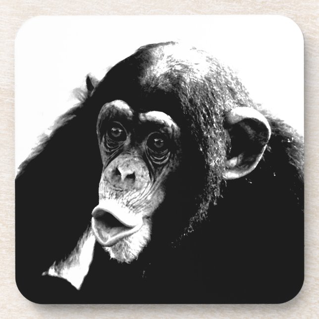 Black White Chimpanzee Coaster (Front)