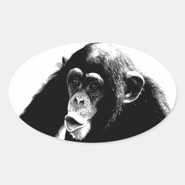 Black White Chimpanzee Oval Sticker (Front)